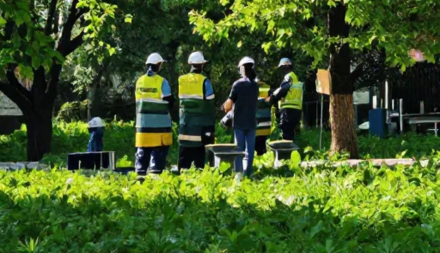 直播运营如何提升流量获取效率？